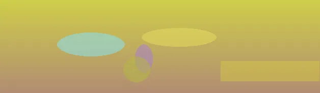 星空官网