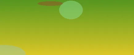星空体育