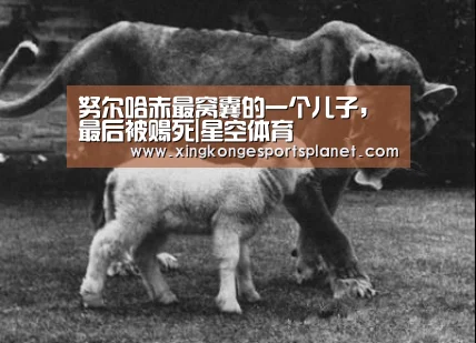 星空官网